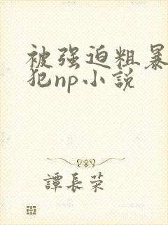 被强迫粗暴的侵犯np小说