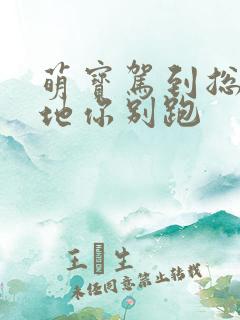 萌宝驾到总裁爹地你别跑