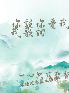 你说你爱我你想我歌词