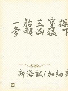 一胎三宝总裁爹爹超凶猛 下载