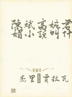 陈斌高婉君赵心媚小说叫什么