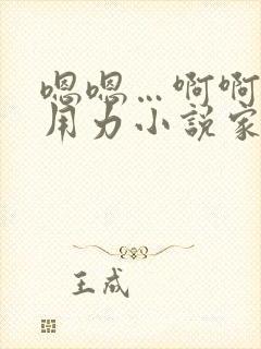 嗯嗯…啊啊啊…用力小说家庭乱