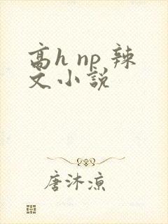 高h np 辣文小说