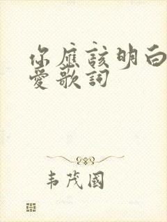 你应该明白我的爱歌词