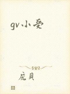 gv小受