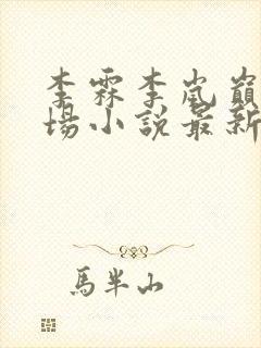 李霖李岚巅峰官场小说最新章节更新