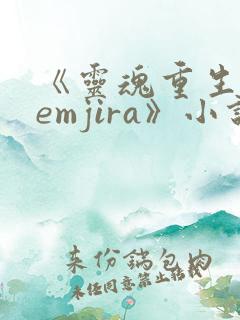 《灵魂重生khemjira》小说