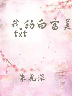 我的白富美老婆 txt