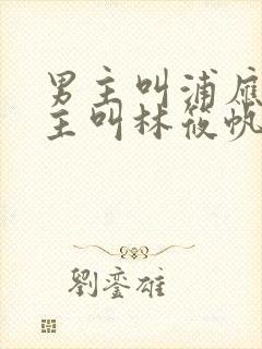 男主叫浦应辛女主叫林筱帆的小说