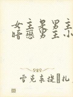 女主是男主秘书暗恋男主小说