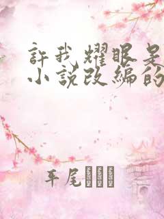 许我耀眼是哪个小说改编的