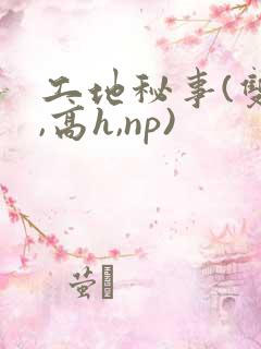 工地秘事(双性,高h,np)