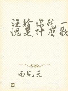 没给你我一生有愧是什么歌