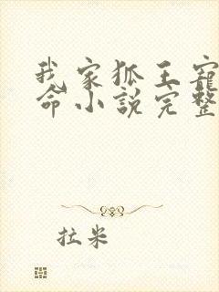 我家狐王宠妻如命小说完整免费