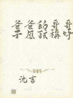 爸爸的哥哥的儿子应该称呼什么