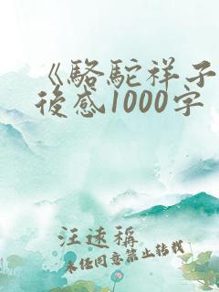 《骆驼祥子》读后感1000字