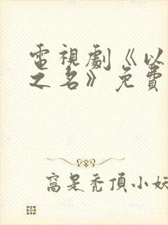 电视剧《以家人之名》免费全集在线