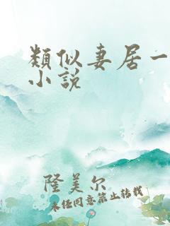 类似妻居一品的小说