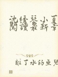 沈绣琴小夏全文阅读最新章节