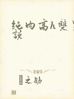 纯肉高h双男小说