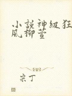 小说神级狂婿岳风柳萱