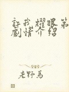 许我耀眼第七集剧情介绍