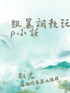 粗暴调教玩弄np小说