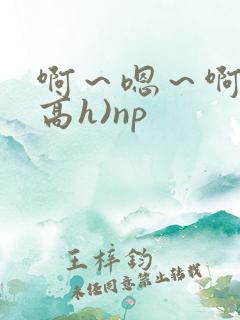 啊～嗯～啊～(高h)np