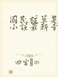 国民校草是女生小说最新章节阅读