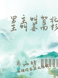 男主叫贺北峥女主叫姜南杉的小说