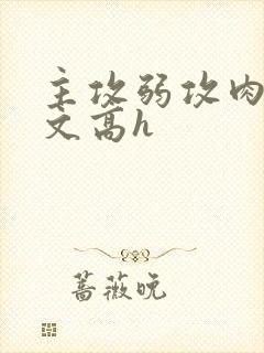 主攻弱攻肉多荤文高h