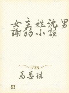 女主姓沈男主姓谢的小说