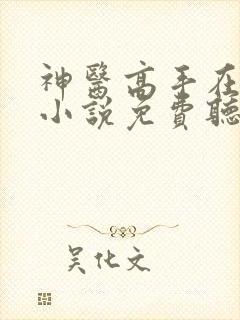 神医高手在都市小说免费听书