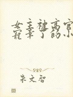 女主被高官大叔宠幸了的小说名字