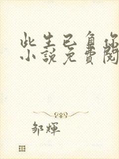 此生已负你情深小说免费阅读