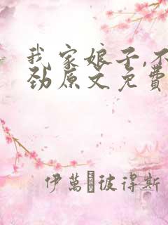 我家娘子,不对劲原文免费阅读