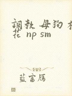 调教 母狗 校花 np sm