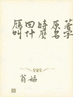 雁回时原著小说叫什么名字