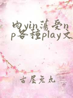 肉yin荡受np各种play文