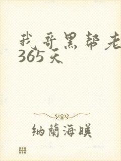 我哥黑帮老大的365天