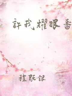 许我耀眼番外篇