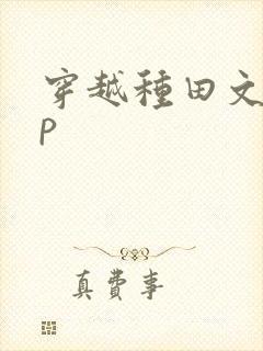 穿越种田文无cp