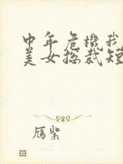 中年危机我闪婚美女总裁短剧