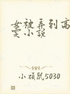 女被弄到高潮雯雯小说