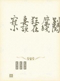 宠妻狂魔别太坏小说在线阅读