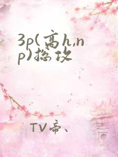 3p(高h,np)总攻