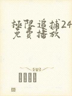 极限追捕24集免费播放