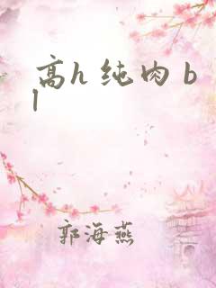 高h 纯肉 bl