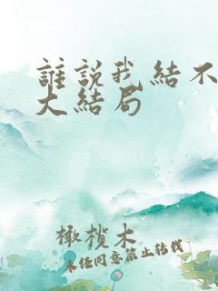 谁说我结不了婚大结局