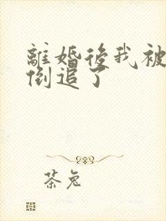 离婚后我被前夫倒追了